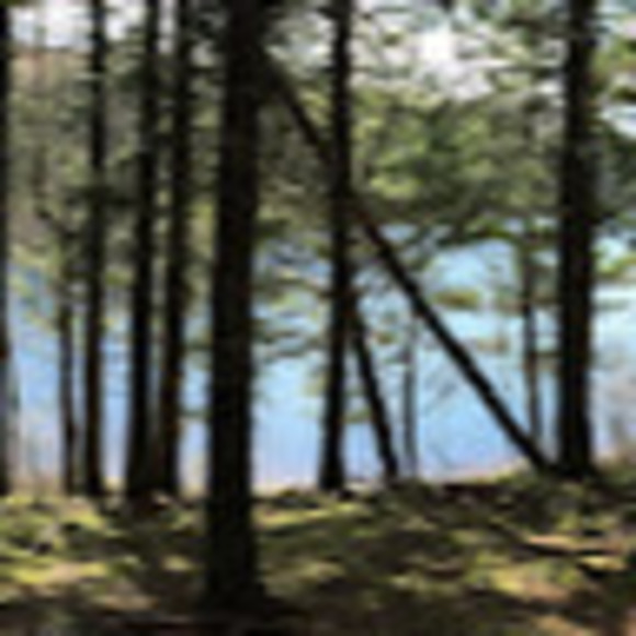 Meet your Posher, Kavya n. - Picture 1 of 1